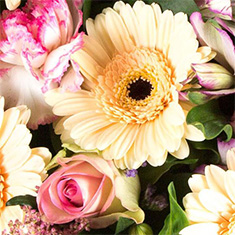 Bouquet FLORIST CHOICE pastel 