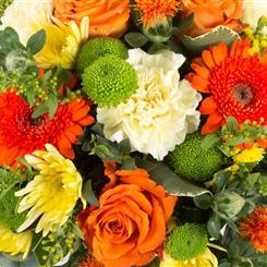 Florist&#39;s Choice Bright Mix  ( no plastic wrap)