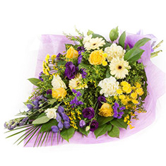 Sheaf in purple and yellow 