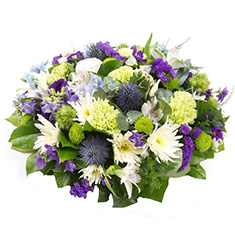 Posy Pad in limes , creams 