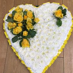 solid Heart tribute 