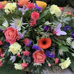 BUTTERFLY DREAMS casket spray 